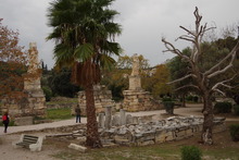 IMGP9475