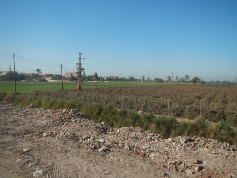DSCN9614