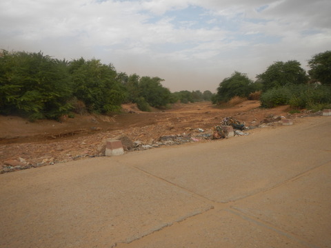 DSCN1296