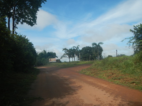 DSCN3604