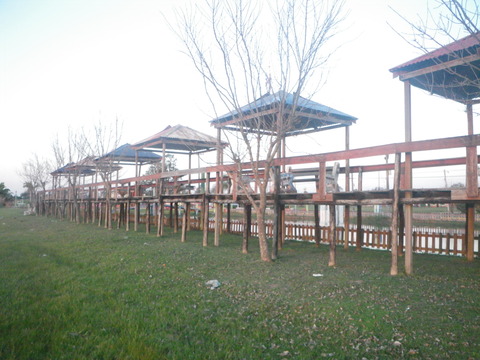 IMGP3284