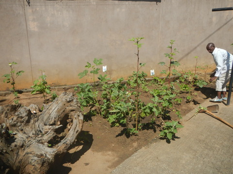 DSCN4030