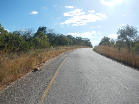 DSCN4206
