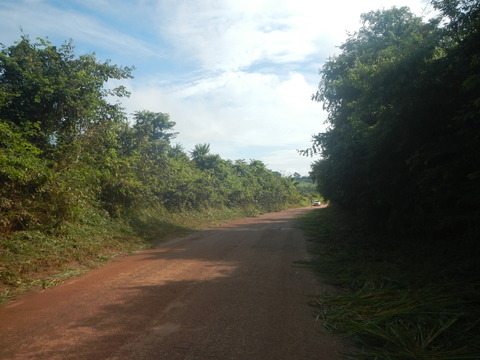 DSCN3603