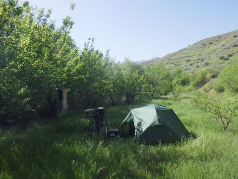 RIMG2858