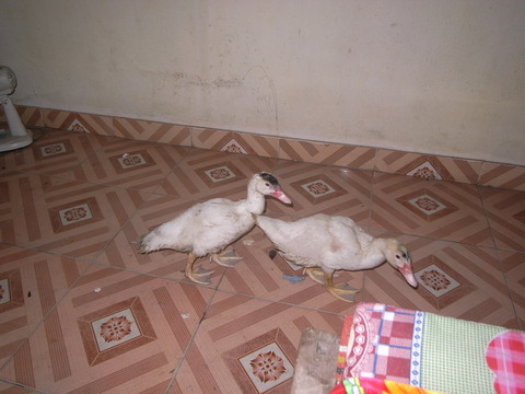 RIMG0074
