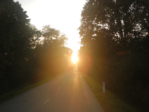 DSCN2272