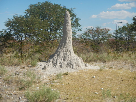 DSCN4678