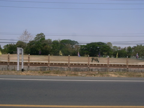 RIMG0078