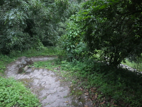 RIMG6966