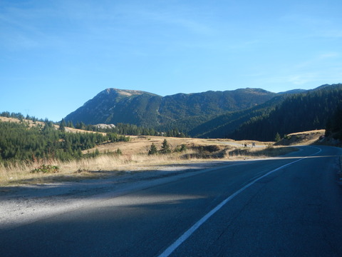 DSCN3467