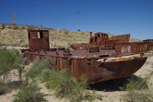 IMGP9826