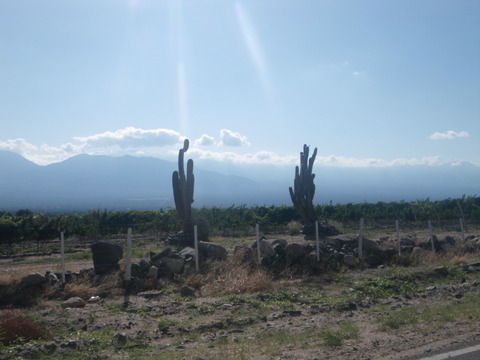 IMGP0121