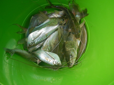 DSCN1623