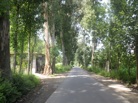 RIMG5868