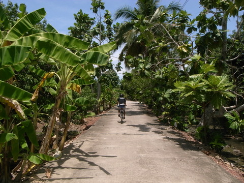 RIMG0112