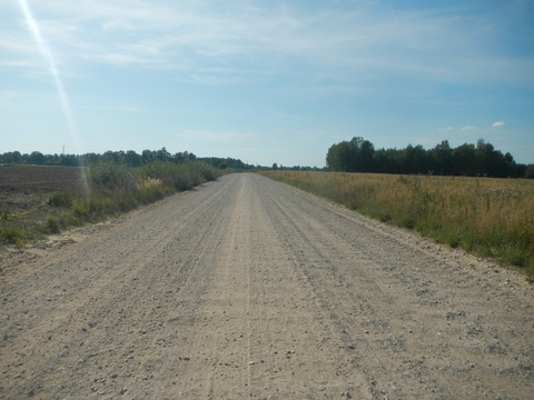 DSCN7393
