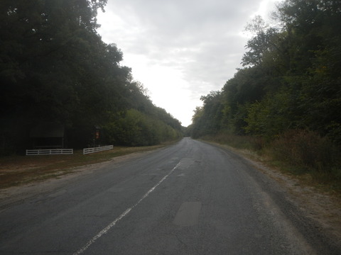 DSCN8005