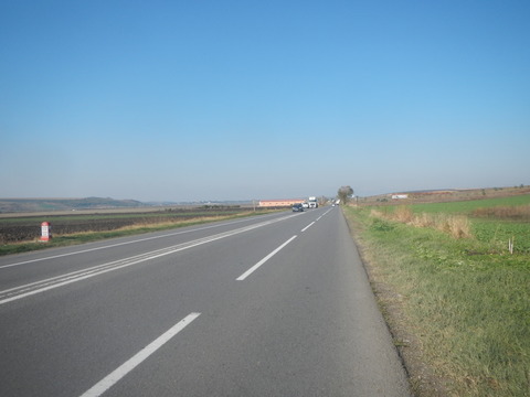DSCN8278