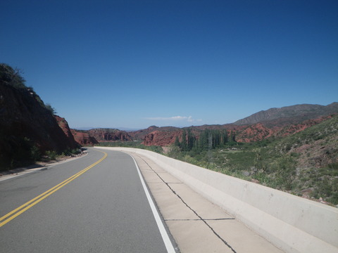 IMGP0252