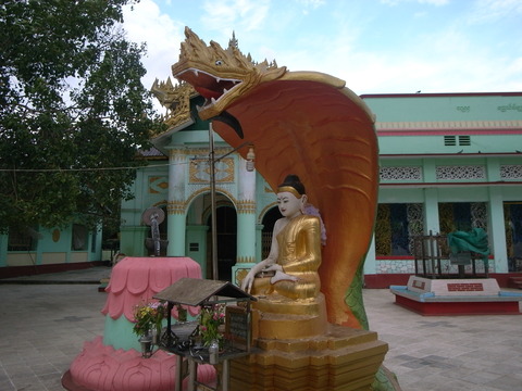 RIMG0081
