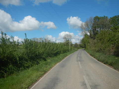 DSCN4706
