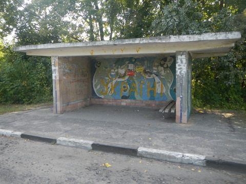 DSCN7764