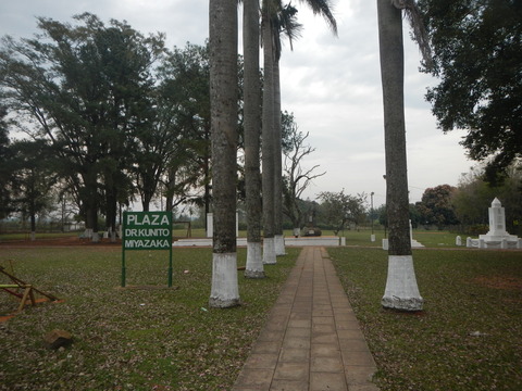 DSCN0353