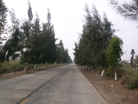 RIMG0159