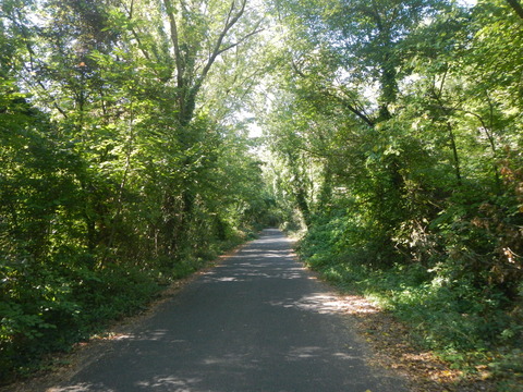 DSCN2206