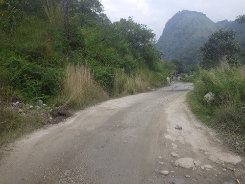 RIMG6957