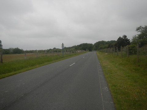 DSCN5184