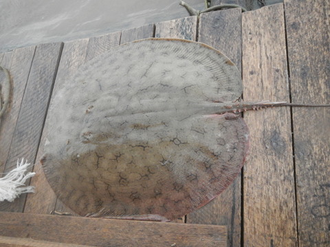 DSCN1631
