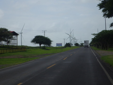 RIMG5608