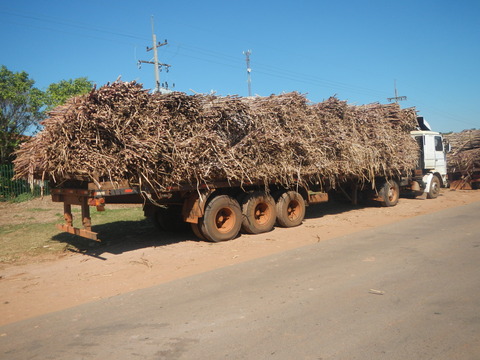 DSCN0310