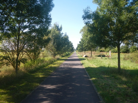DSCN1940