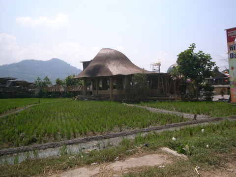 RIMG0061