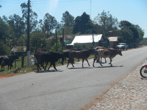 DSCN0308