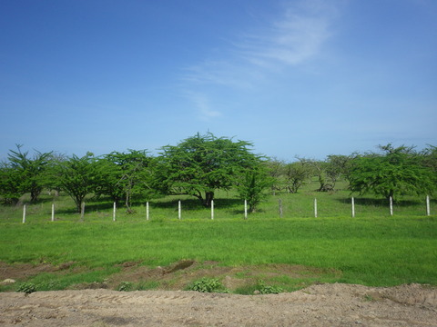 RIMG5432