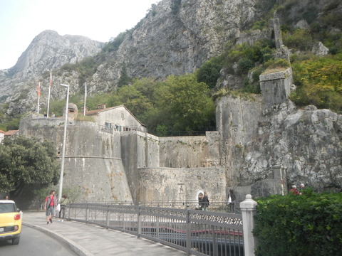 DSCN3293