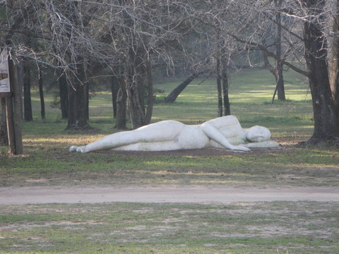 IMGP3219
