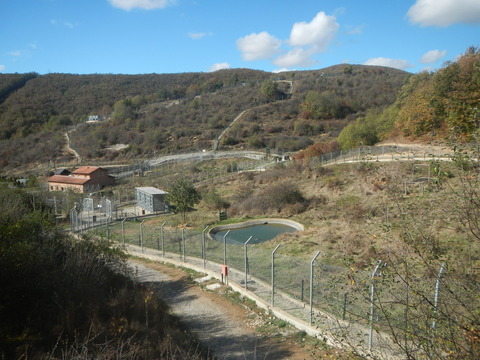 DSCN3546
