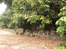 P3110670