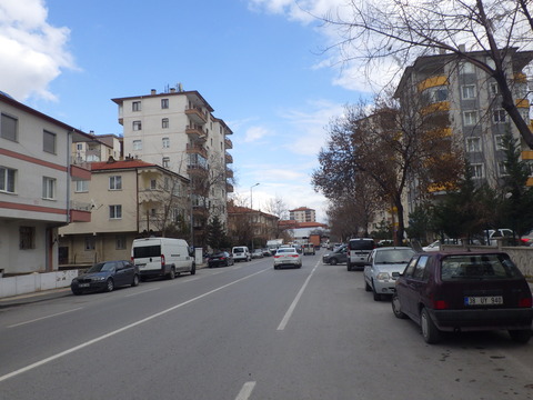 RIMG1050