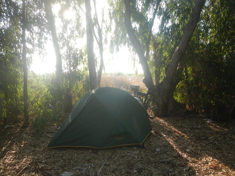 DSCN8956