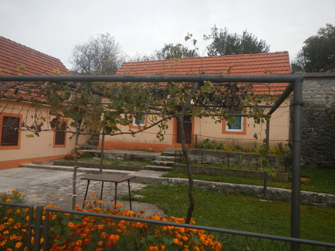 DSCN3325