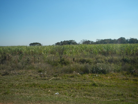 DSCN0313