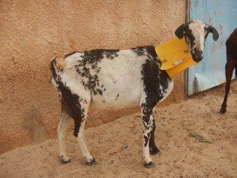 DSCN1300