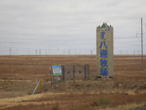 RIMG5525
