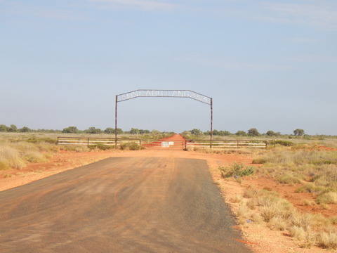 RIMG0950
